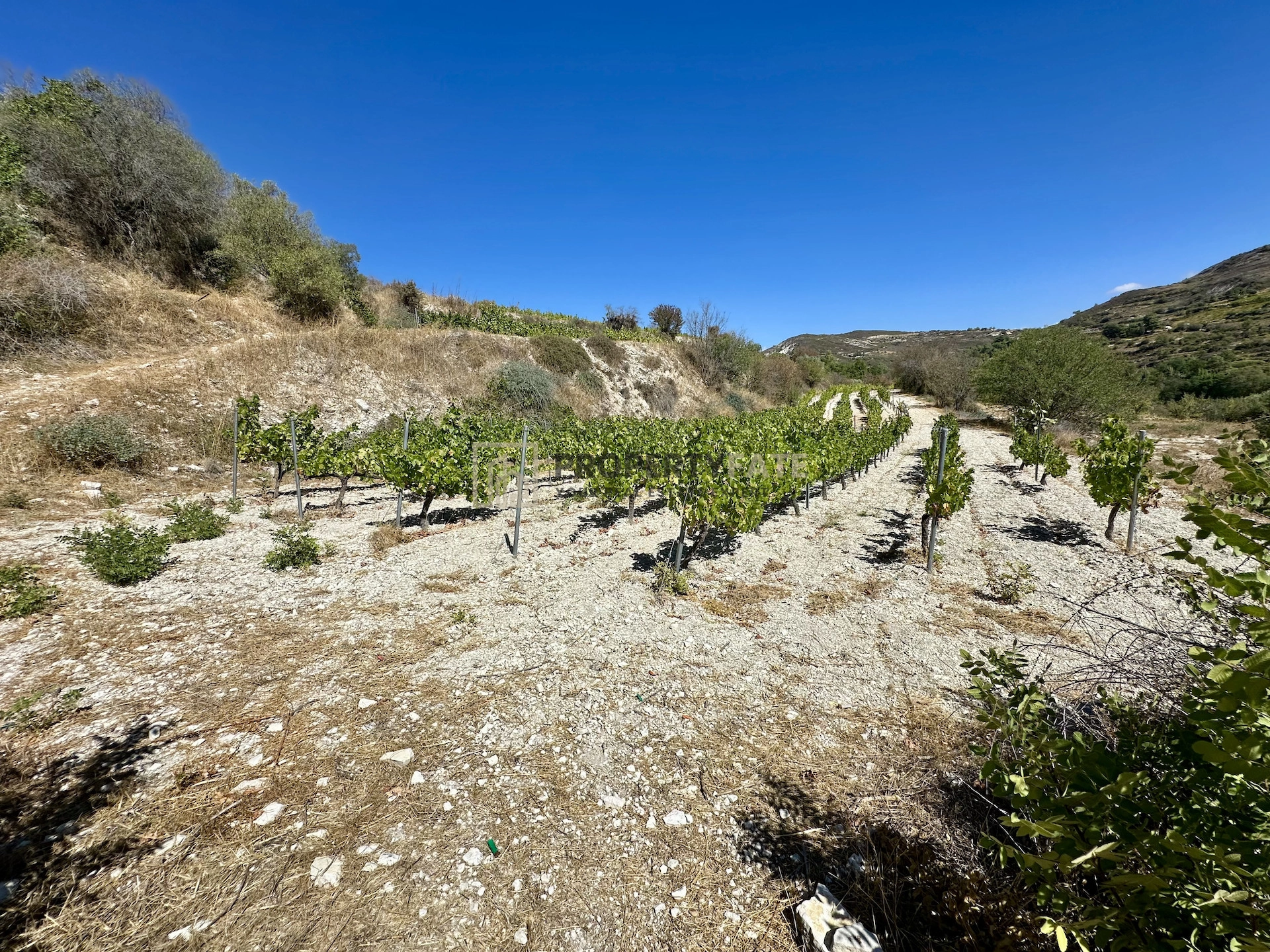 4,014m² Plot for Sale in Koilani, Limassol District