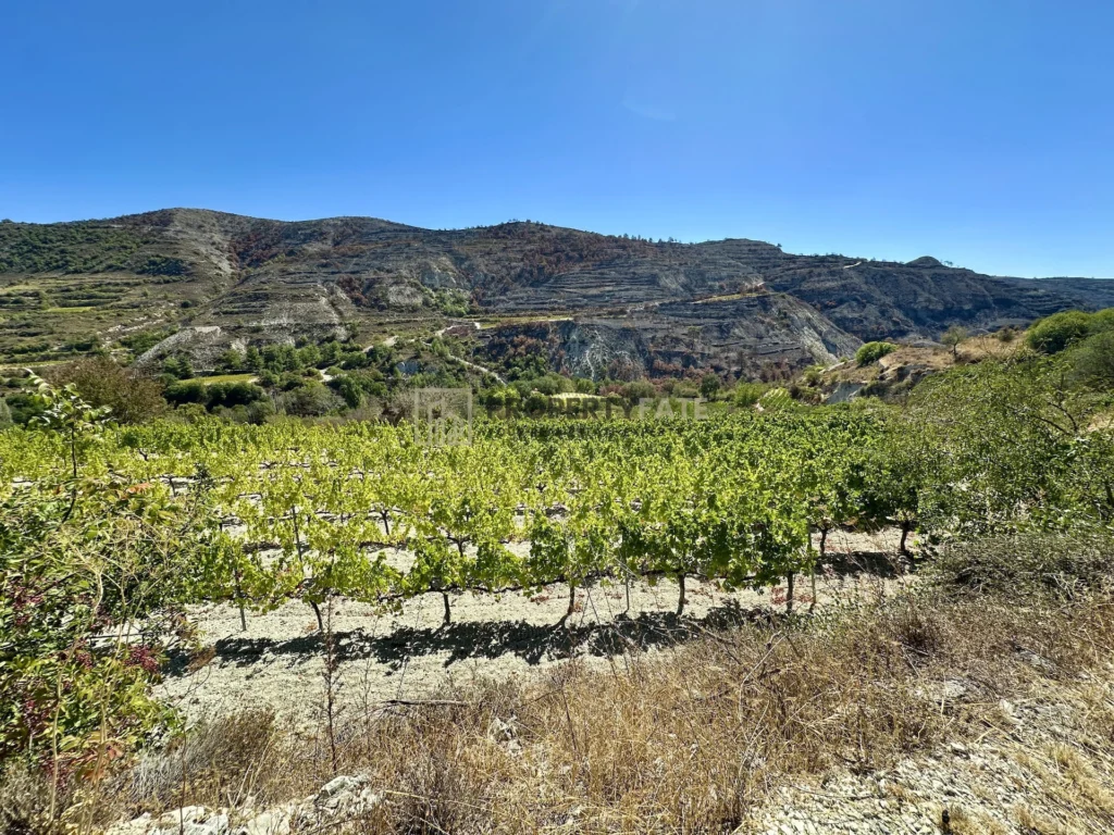 4,014m² Plot for Sale in Koilani, Limassol District