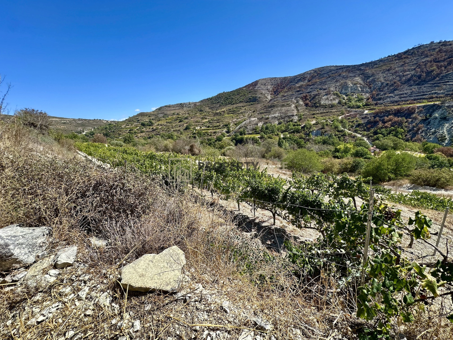 4,014m² Plot for Sale in Koilani, Limassol District