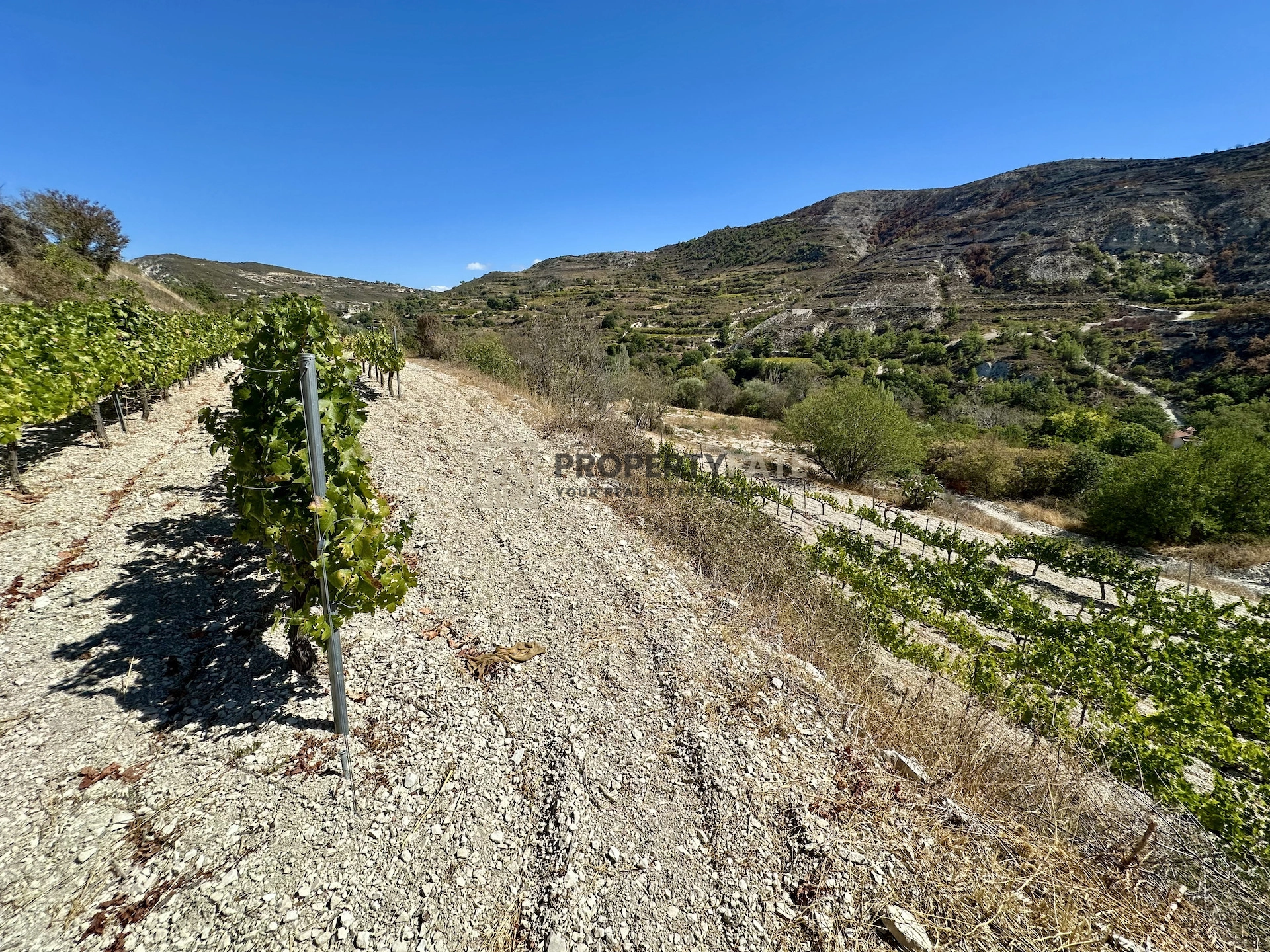 4,014m² Plot for Sale in Koilani, Limassol District