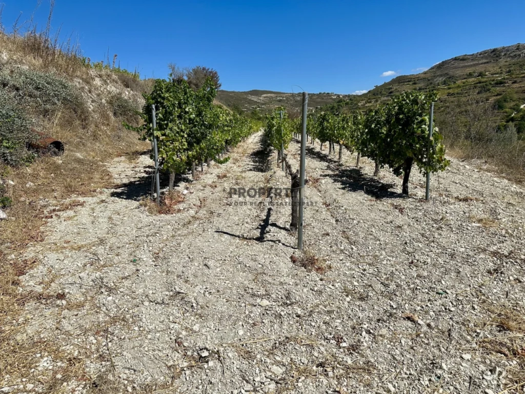 4,014m² Plot for Sale in Koilani, Limassol District
