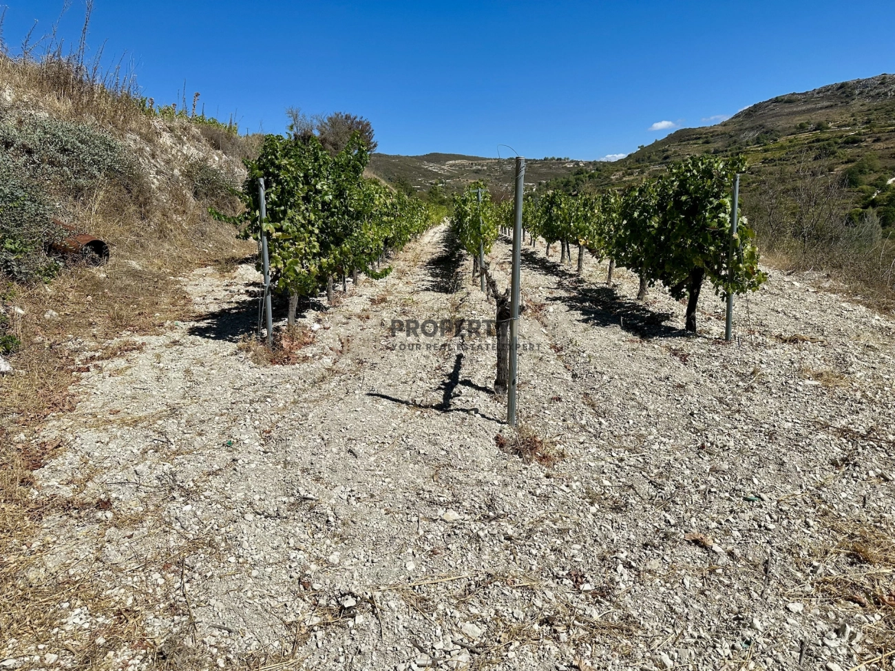 4,014m² Plot for Sale in Koilani, Limassol District