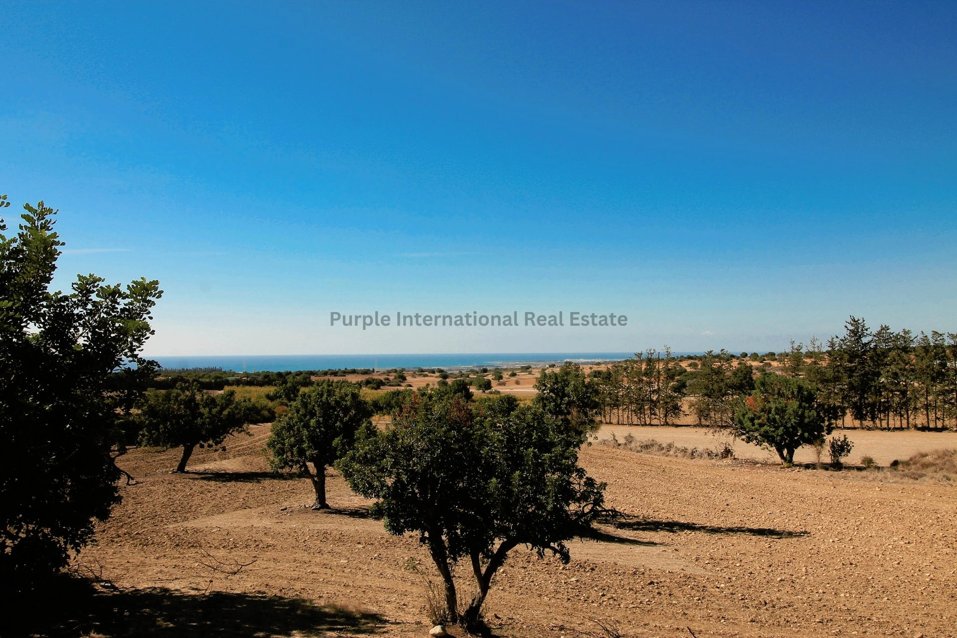 682m² House for Sale in Kouklia, Paphos District