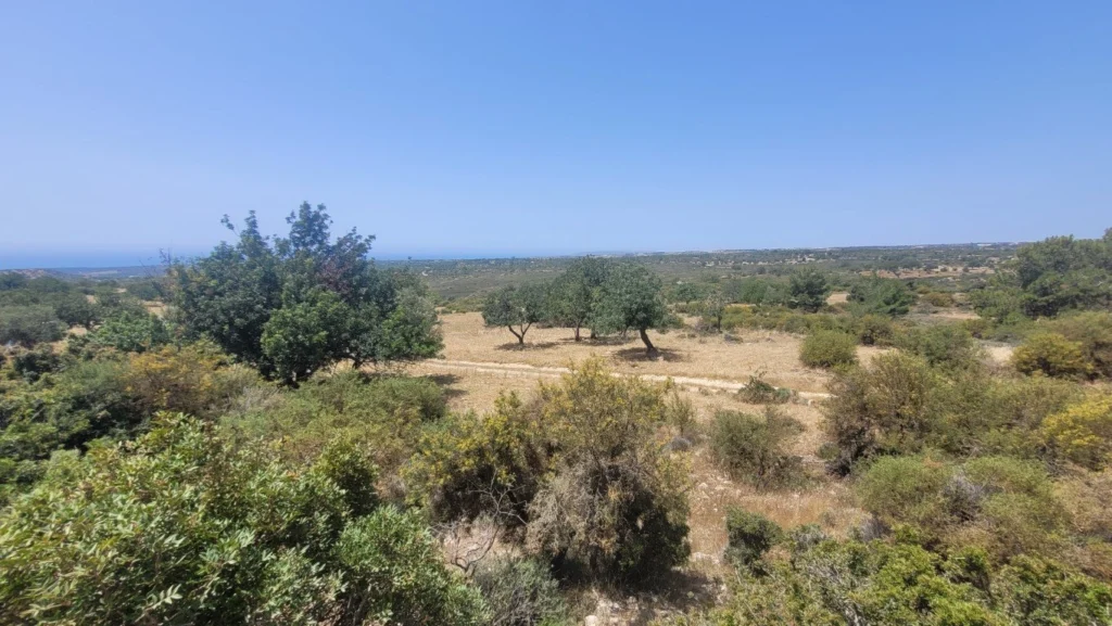 for Sale in Limassol District
