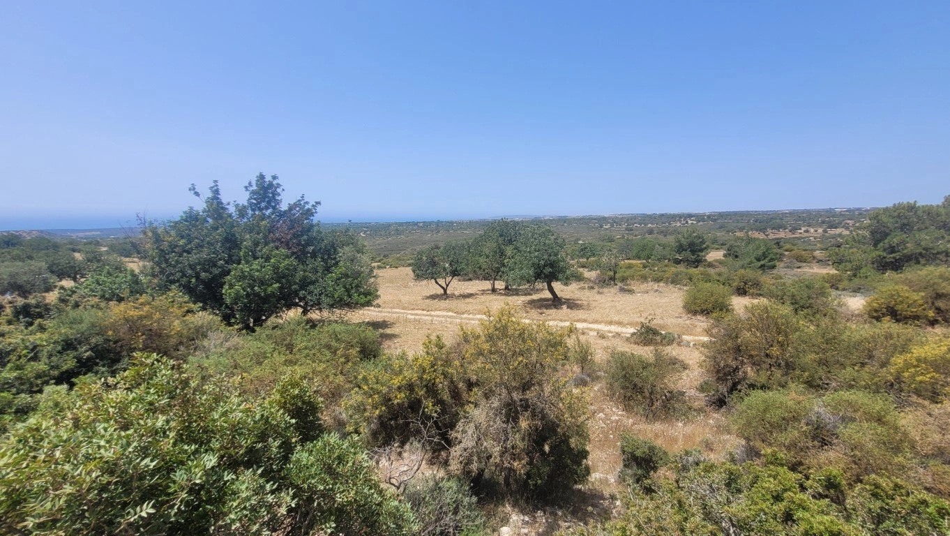 for Sale in Limassol District