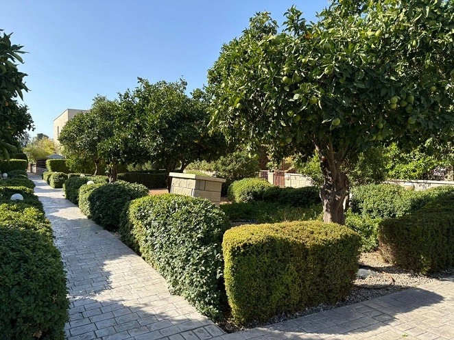 3 Bedroom House for Sale in Mandria, Paphos District