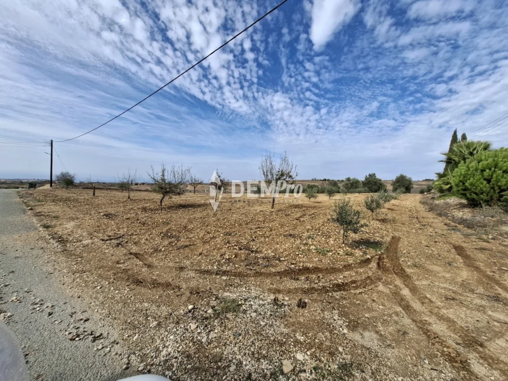 6,020m² Plot for Sale in Kathikas, Paphos District