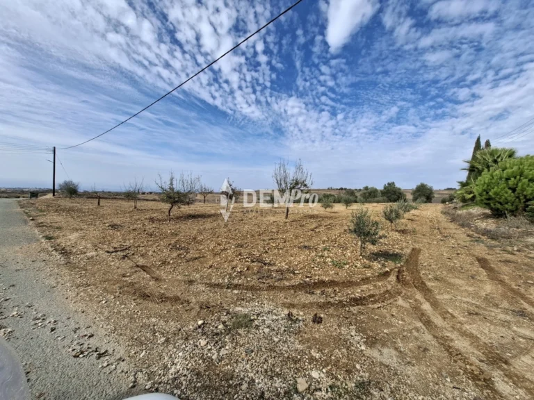 6,020m² Plot for Sale in Kathikas, Paphos District