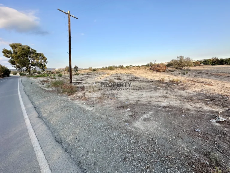 9,960m² Plot for Sale in Zygi, Larnaca District