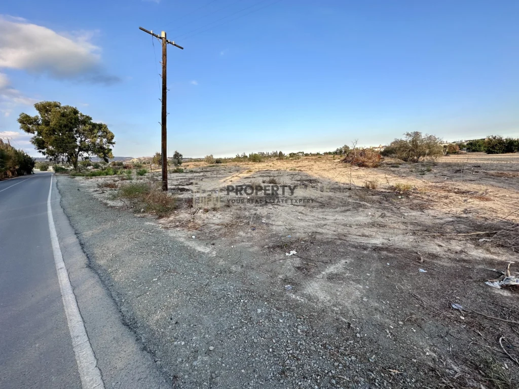 9,960m² Plot for Sale in Zygi, Larnaca District