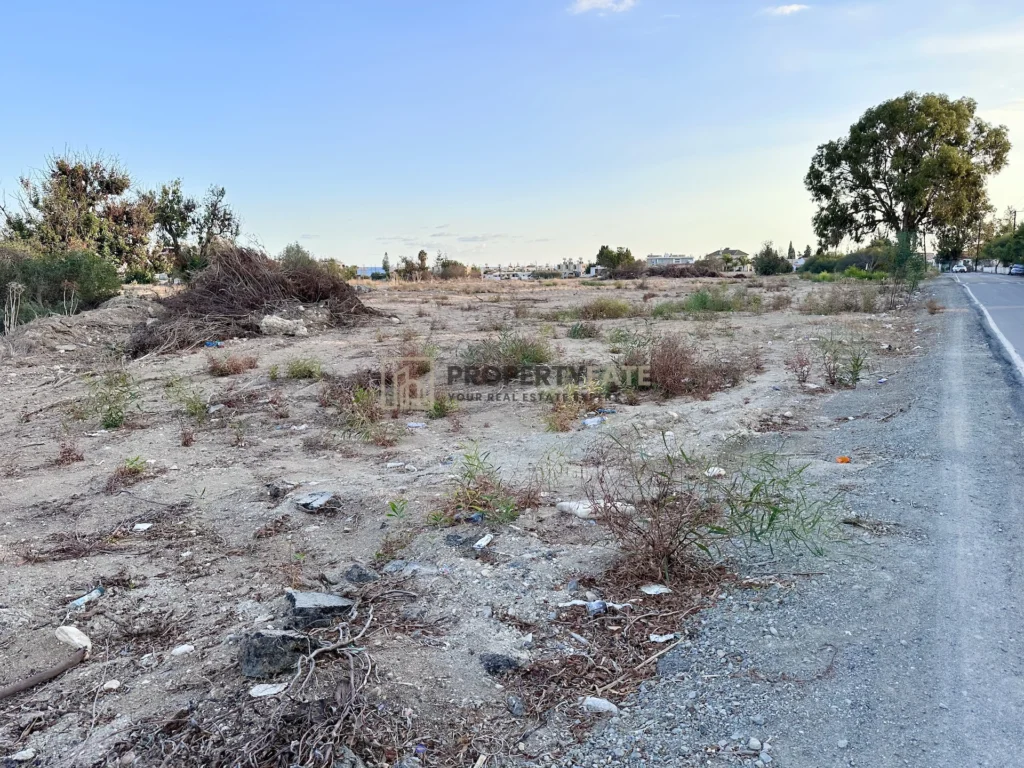 9,960m² Plot for Sale in Zygi, Larnaca District