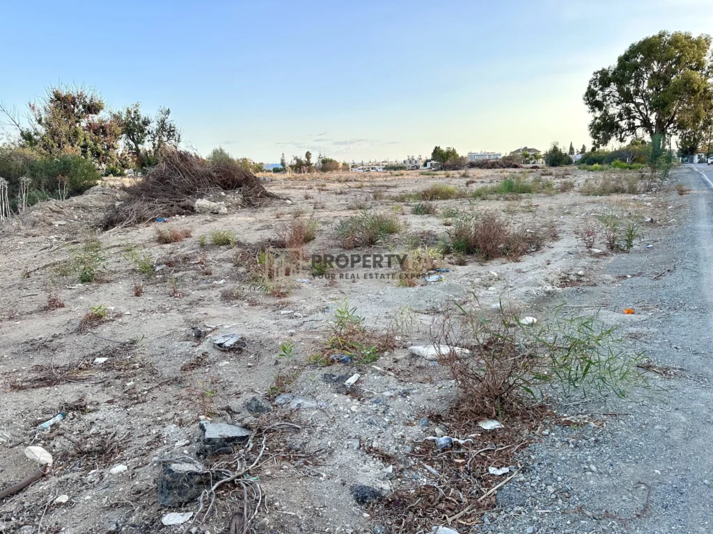 9,960m² Plot for Sale in Zygi, Larnaca District