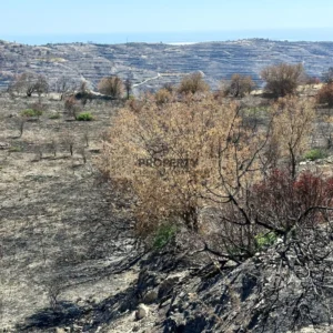 3,679m² Plot for Sale in Koilani, Limassol District