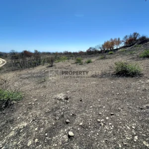 2,342m² Plot for Sale in Koilani, Limassol District