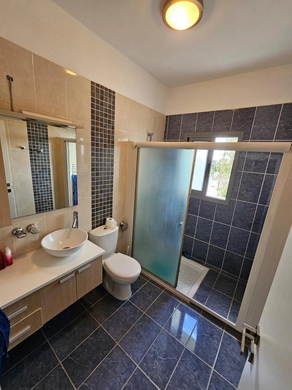 6+ Bedroom House for Sale in Konia, Paphos District