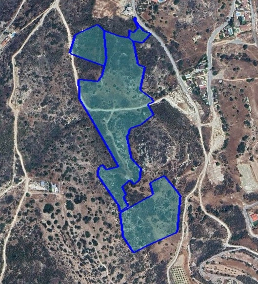 for Sale in Foinikaria, Limassol District