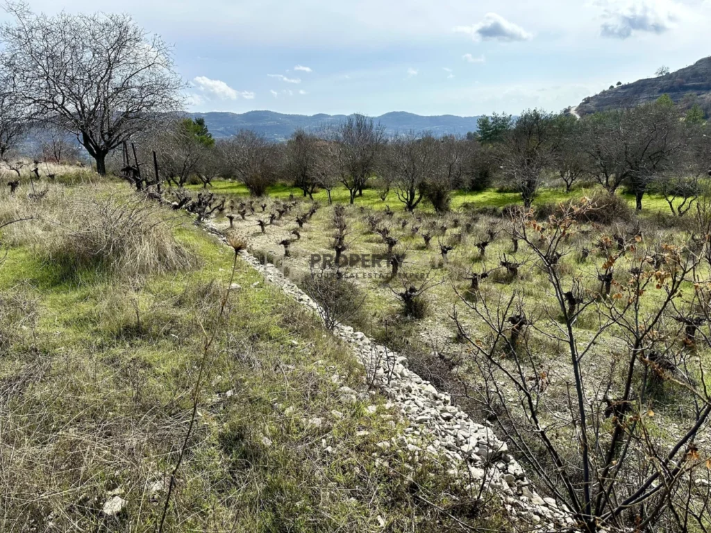 3,011m² Plot for Sale in Silikou, Limassol District