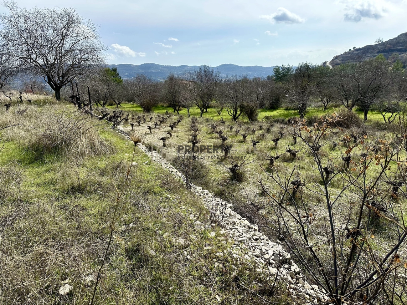 3,011m² Plot for Sale in Silikou, Limassol District