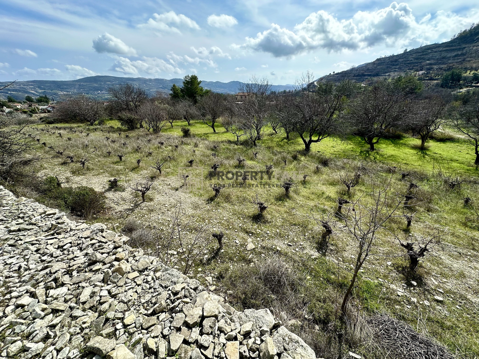 3,011m² Plot for Sale in Silikou, Limassol District