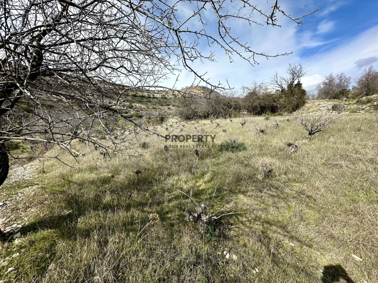 3,011m² Plot for Sale in Silikou, Limassol District