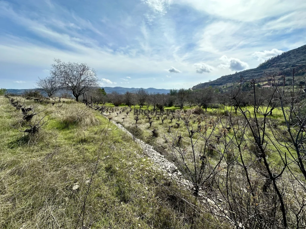3,011m² Plot for Sale in Silikou, Limassol District