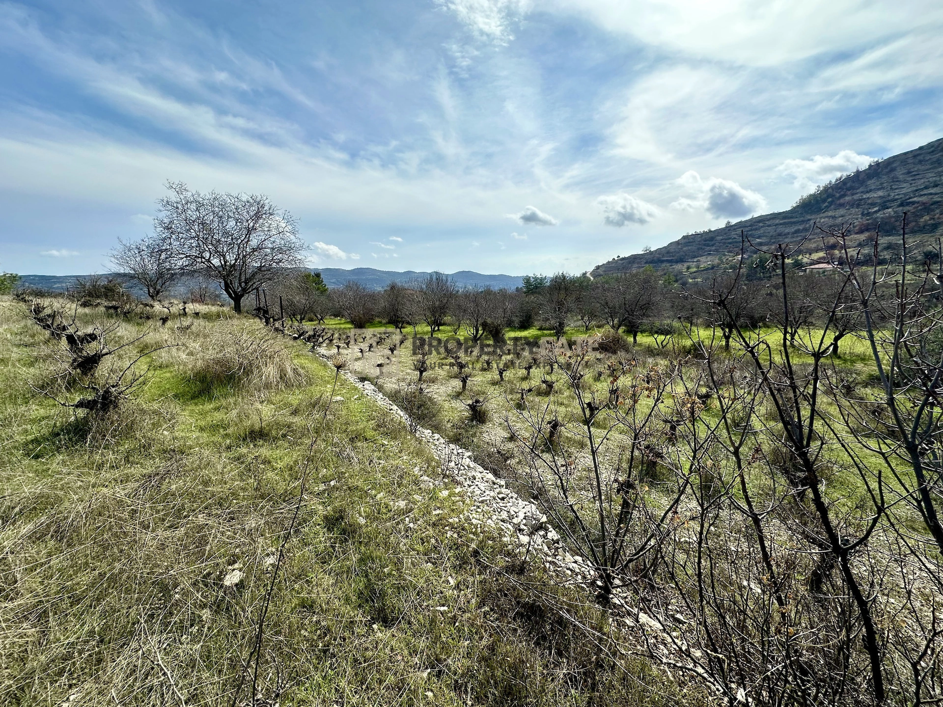 3,011m² Plot for Sale in Silikou, Limassol District