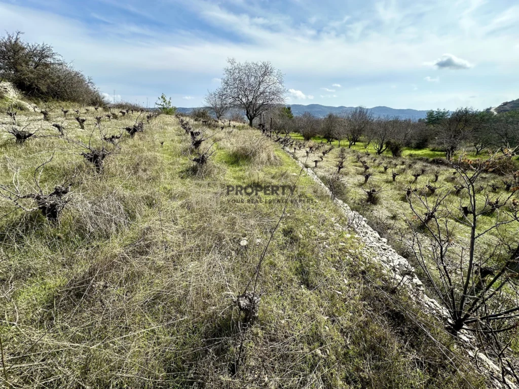 3,011m² Plot for Sale in Silikou, Limassol District