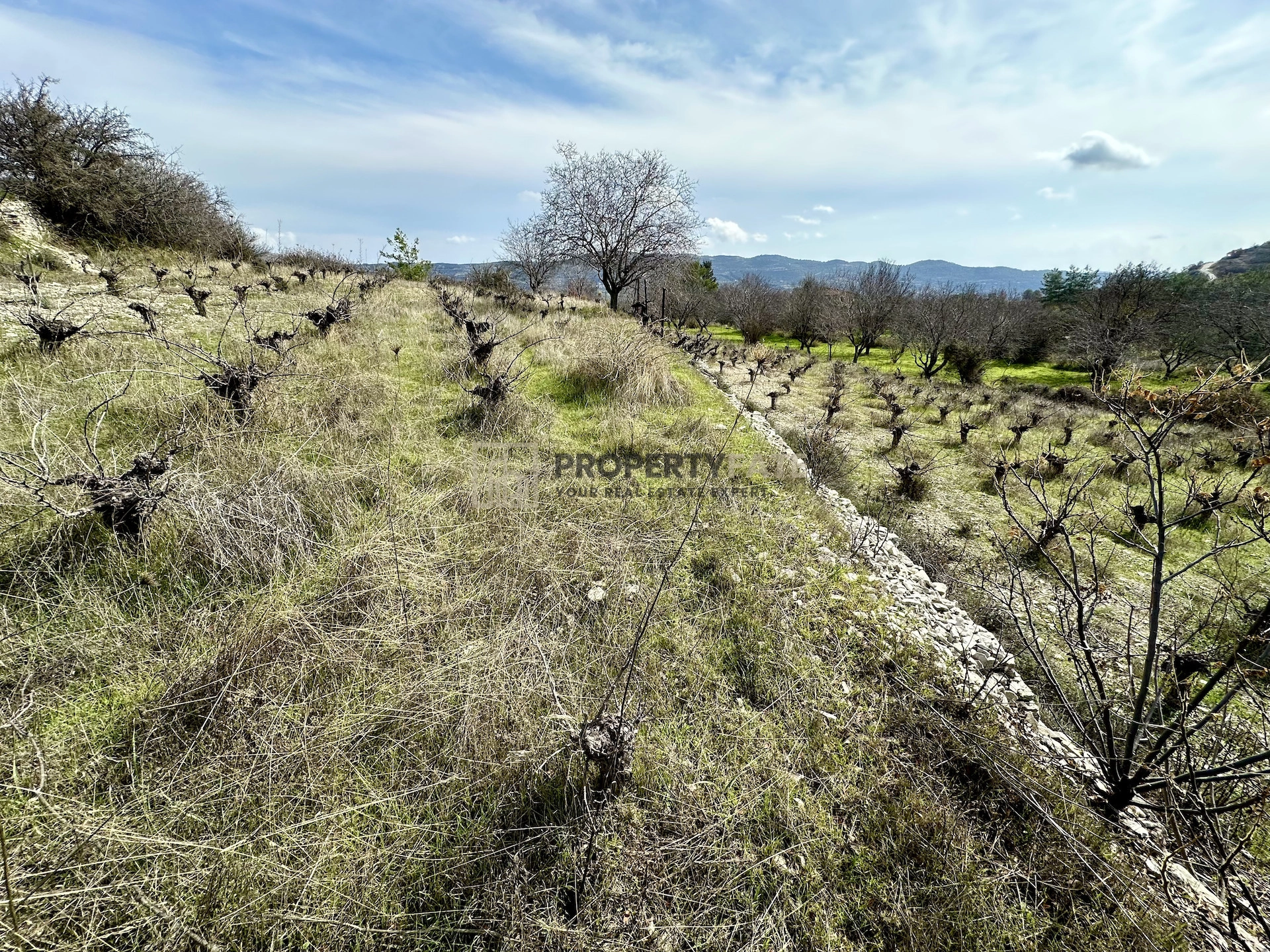 3,011m² Plot for Sale in Silikou, Limassol District