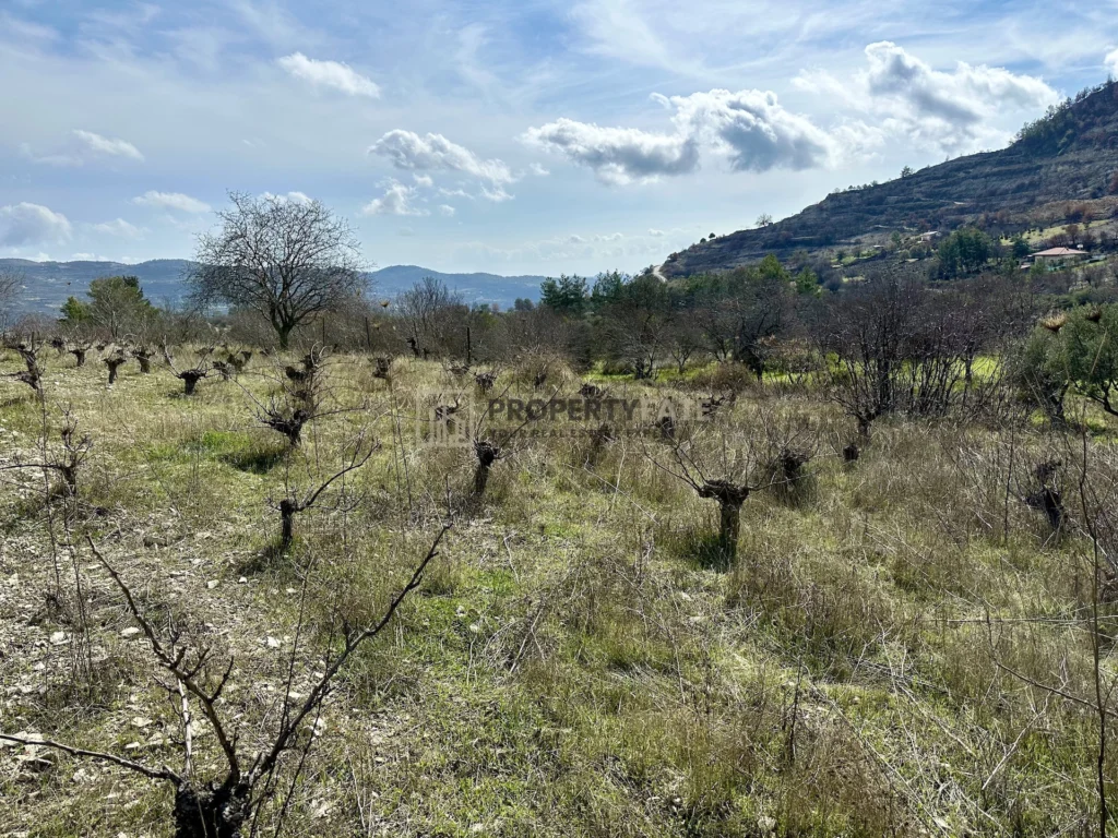 3,011m² Plot for Sale in Silikou, Limassol District
