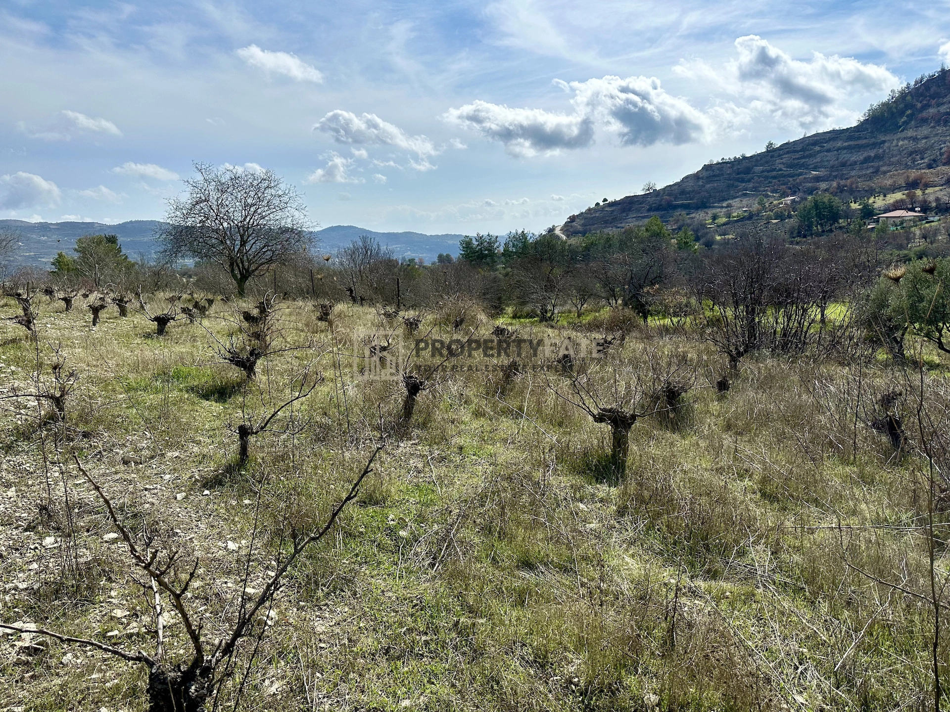 3,011m² Plot for Sale in Silikou, Limassol District