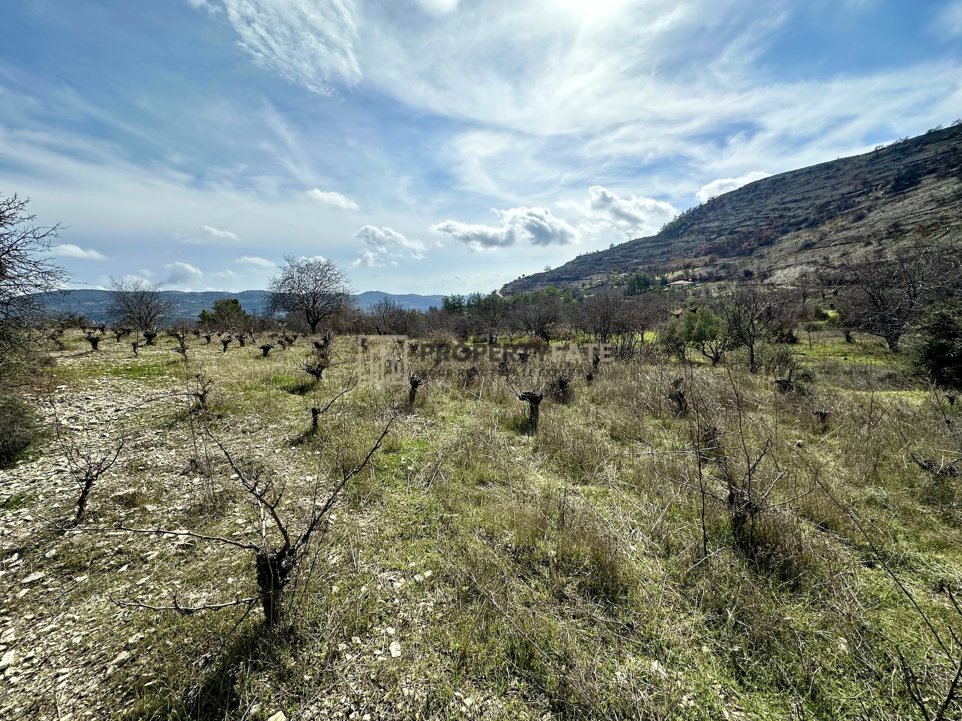 3,011m² Plot for Sale in Silikou, Limassol District