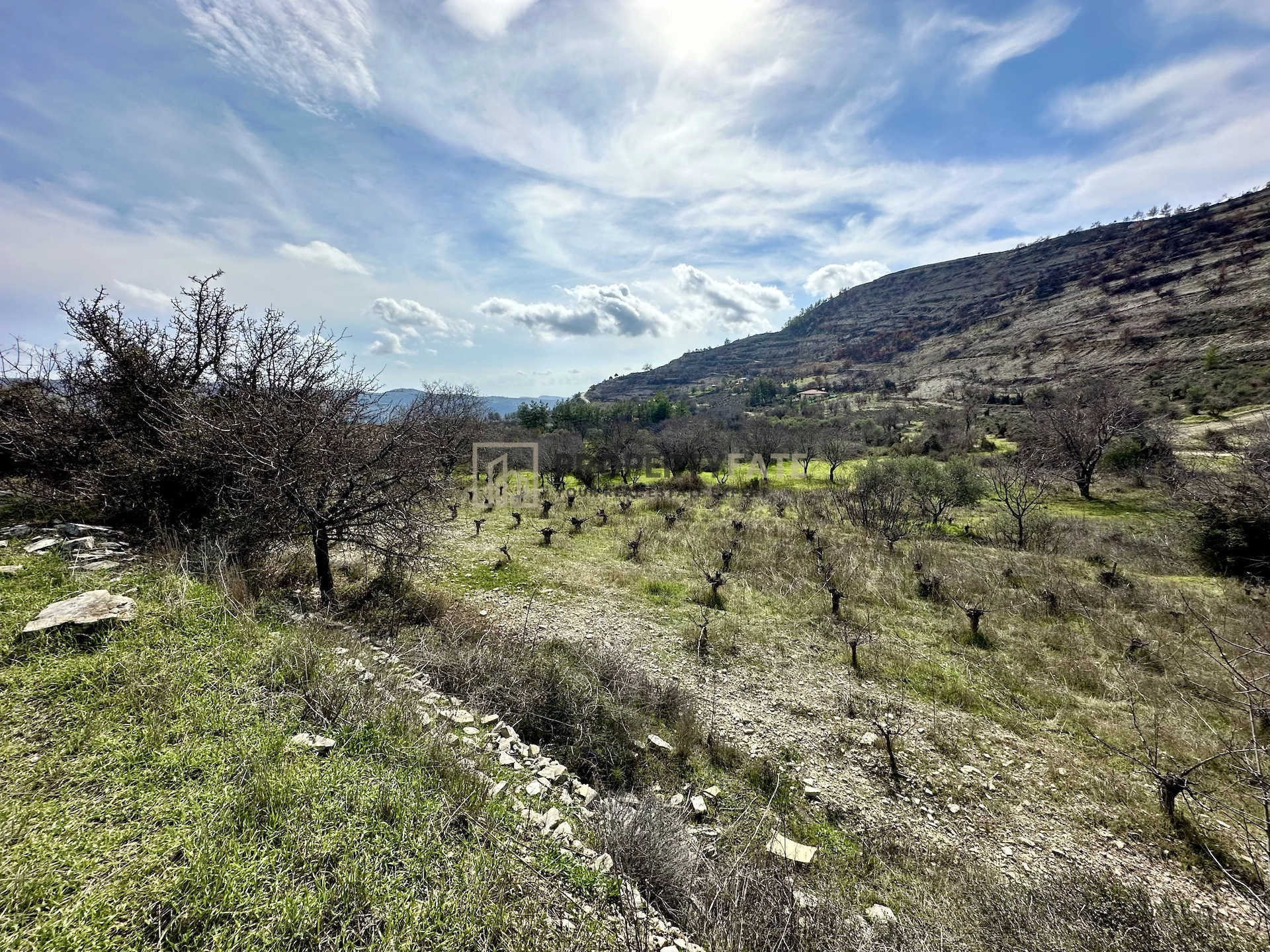 3,011m² Plot for Sale in Silikou, Limassol District