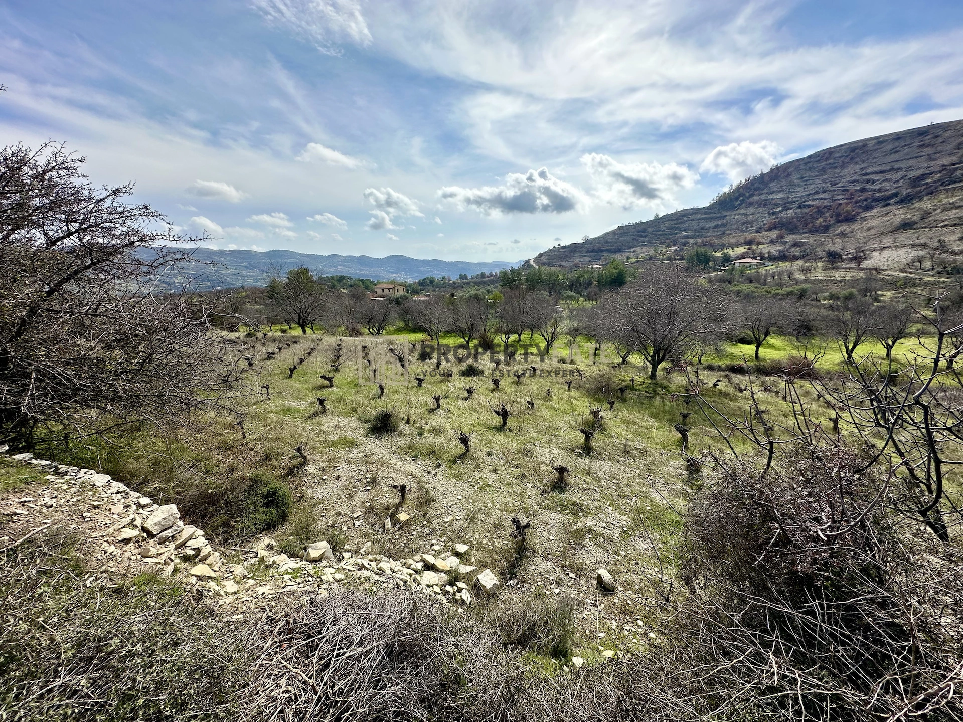 3,011m² Plot for Sale in Silikou, Limassol District