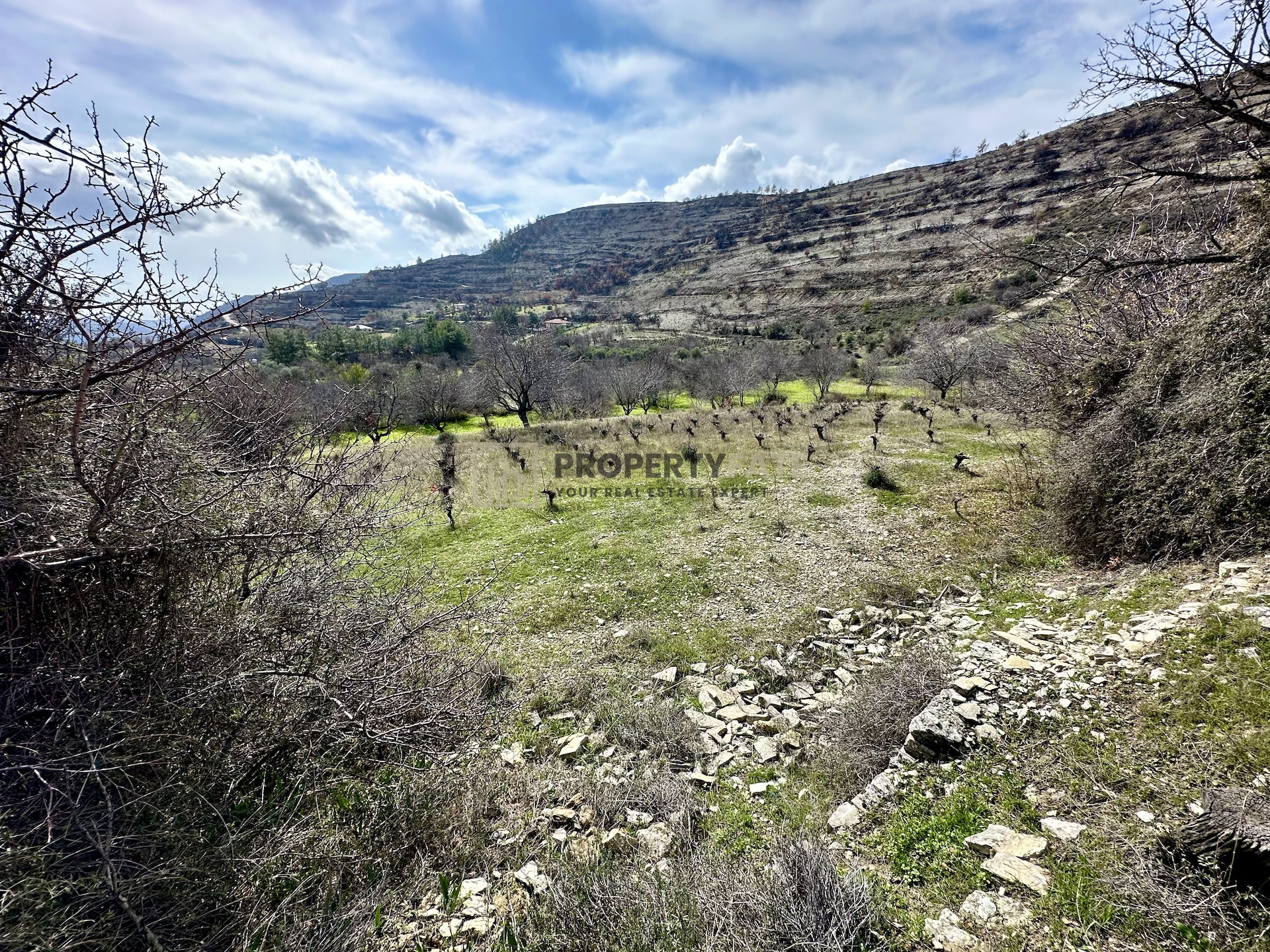 3,011m² Plot for Sale in Silikou, Limassol District