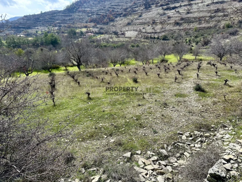 3,011m² Plot for Sale in Silikou, Limassol District