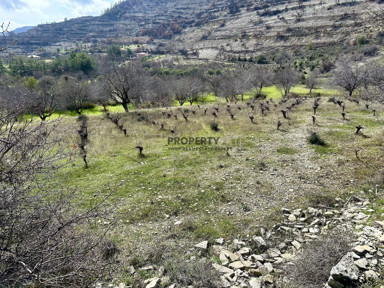 3,011m² Plot for Sale in Silikou, Limassol District