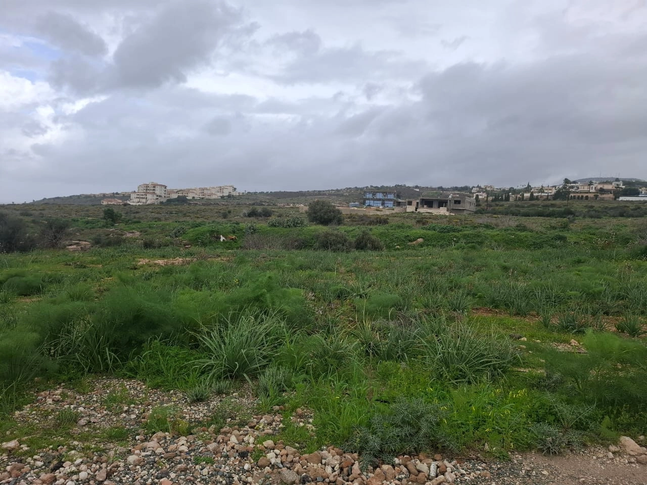 for Sale in Tremithousa, Paphos District