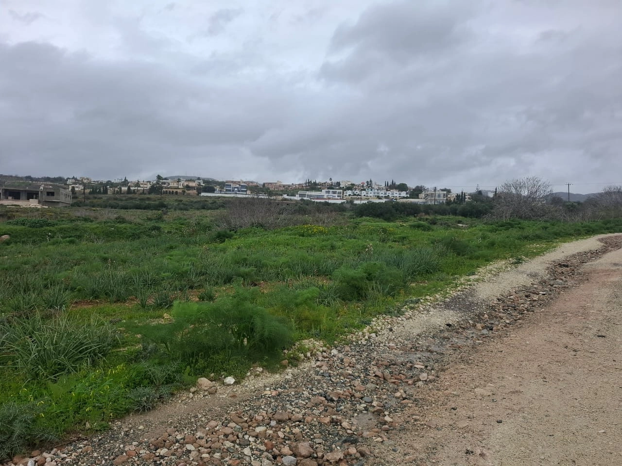 for Sale in Tremithousa, Paphos District