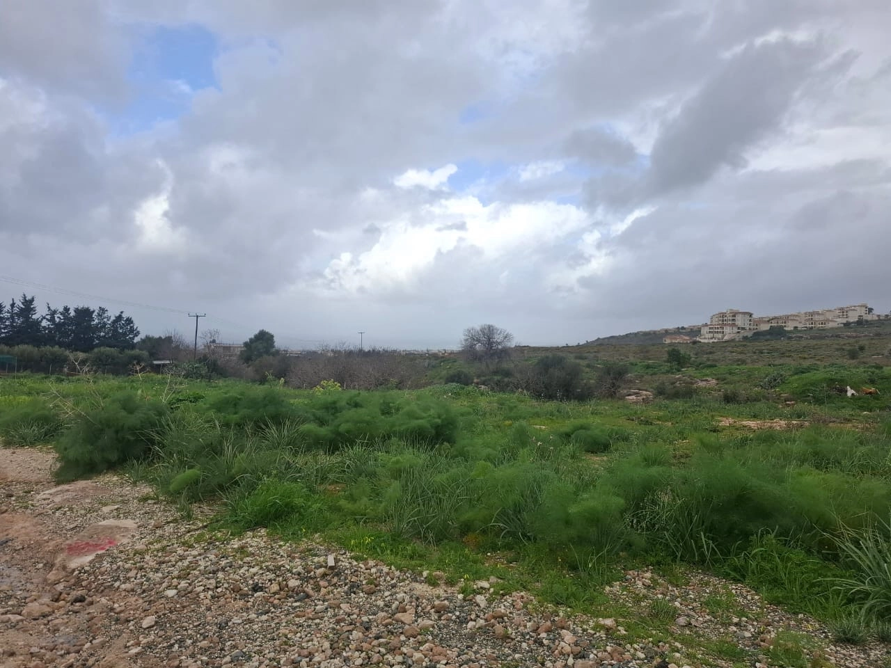 for Sale in Tremithousa, Paphos District