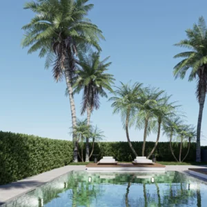 3 Bedroom Apartment for Sale in Paphos District
