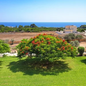 3 Bedroom House for Sale in Famagusta District