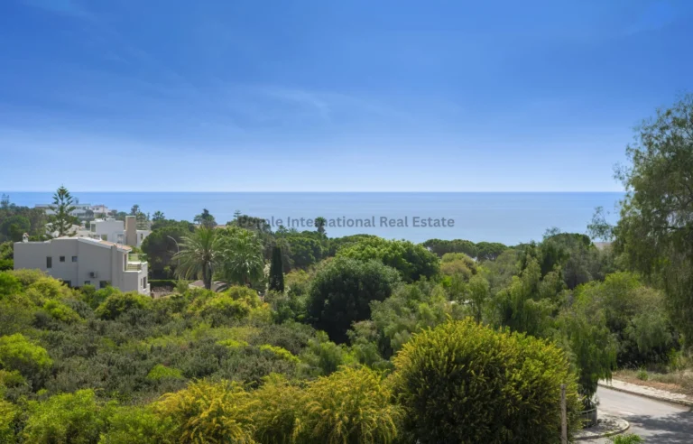Cheap Houses and Villas for Sale Paphos up to 800000 euro