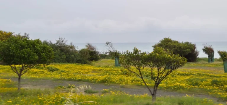 Larnaca