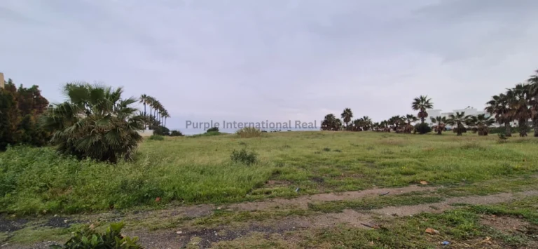 13,014m² Plot for Sale in Larnaca District