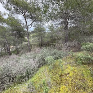 2,342m² Plot for Sale in Kellaki, Limassol District