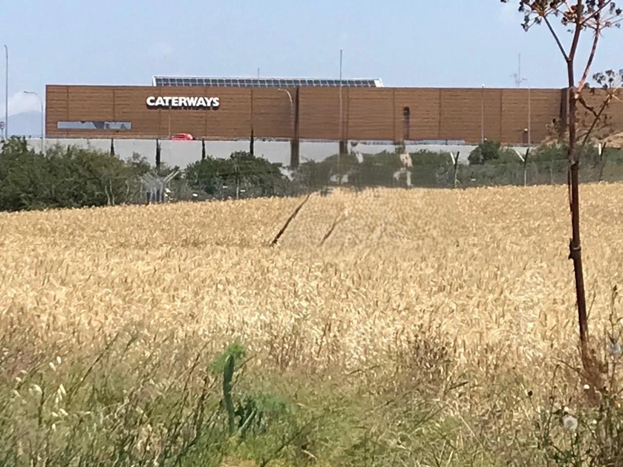 for Sale in Latsia, Nicosia District