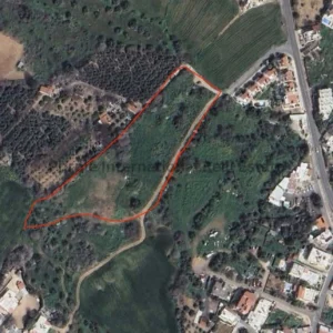 13,713m² Plot for Sale in Tremithousa, Paphos District