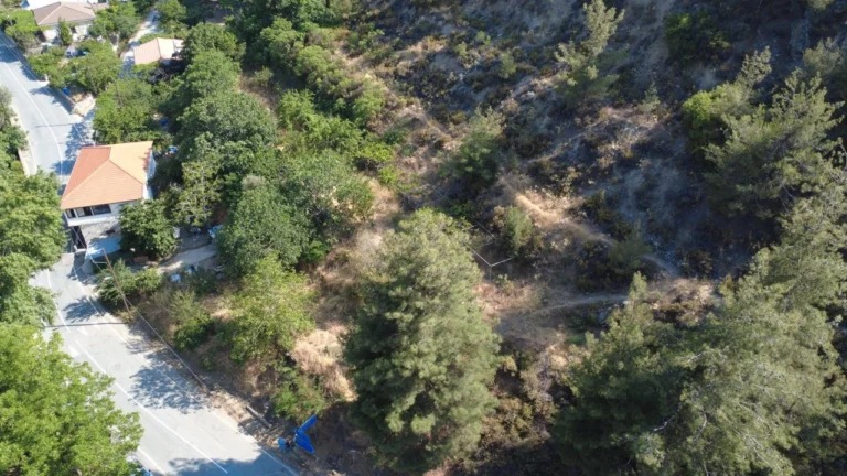for Sale in Kakopetria, Nicosia District