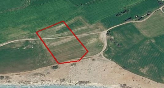 for Sale in Mazotos, Larnaca District