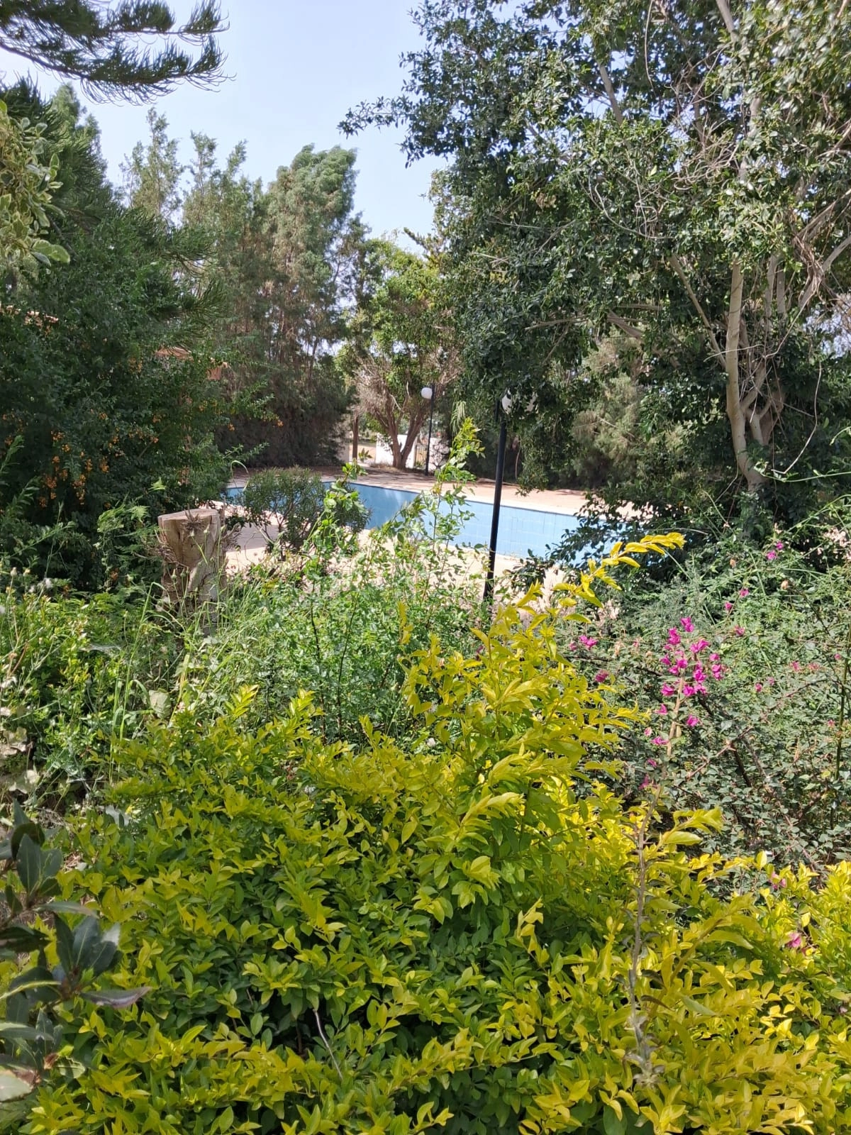for Sale in Chlorakas, Paphos District